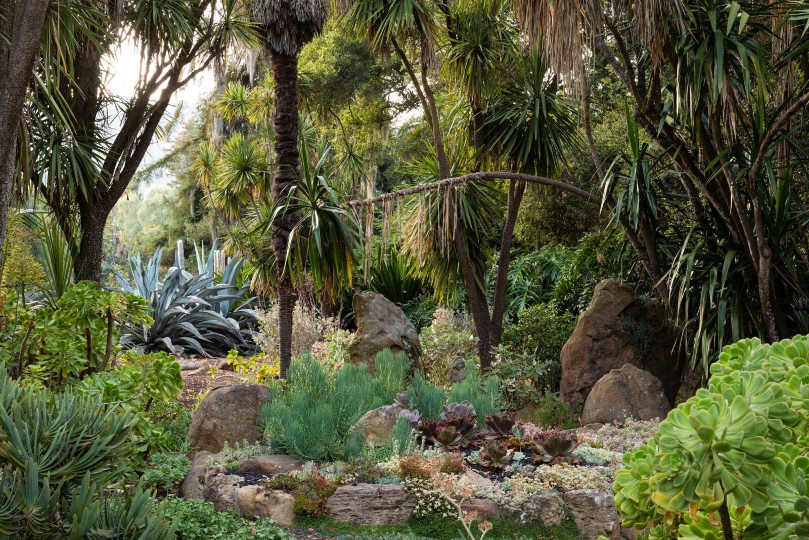 Succulent Garden — Ganna Walska Lotusland